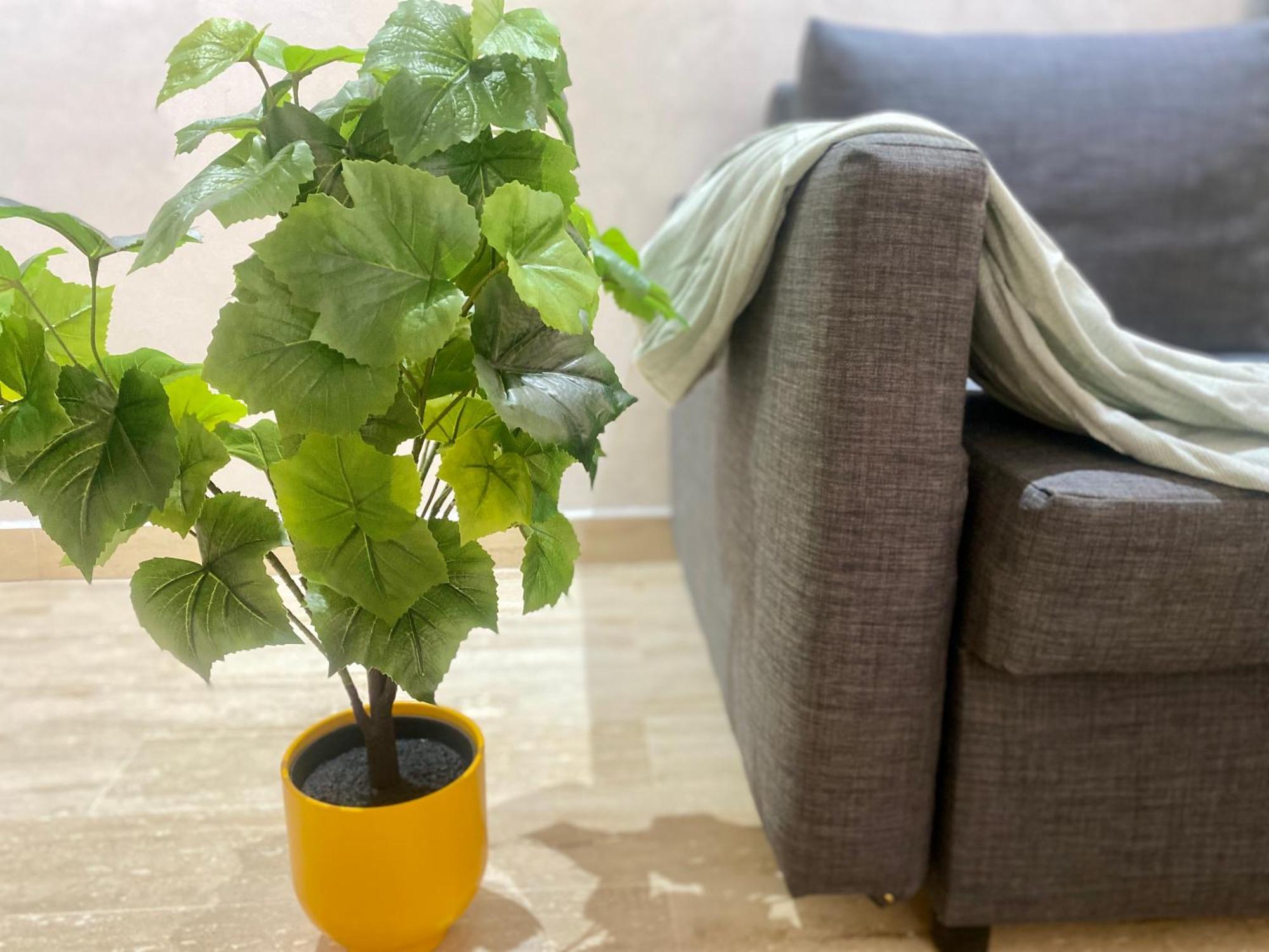 Superbe appartement très bien situé Casablanca Extérieur photo