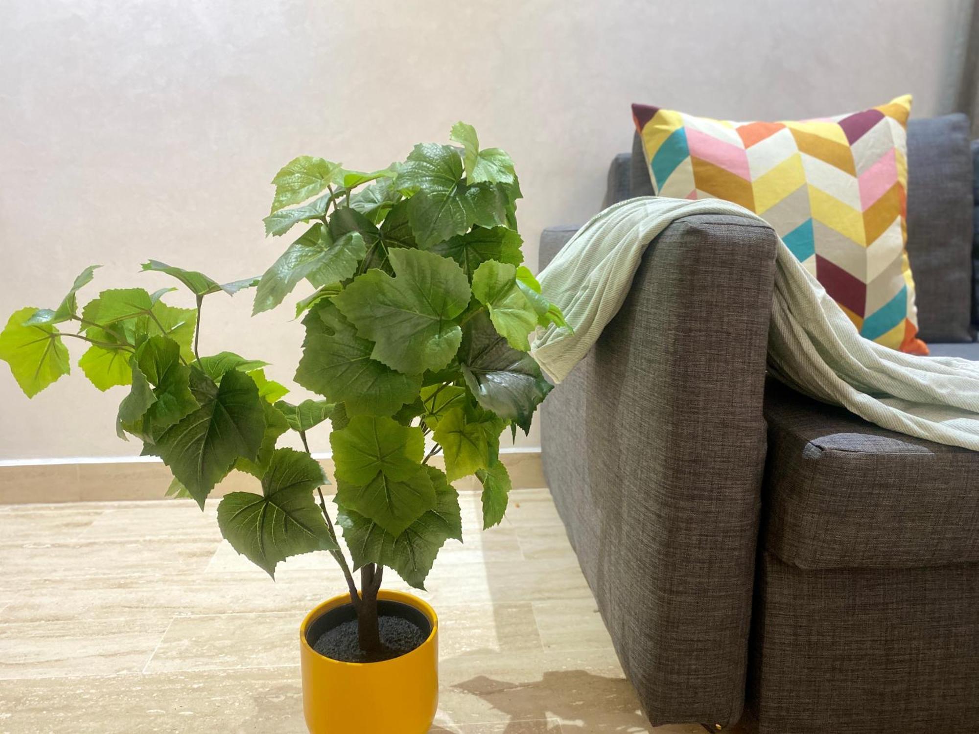 Superbe appartement très bien situé Casablanca Extérieur photo